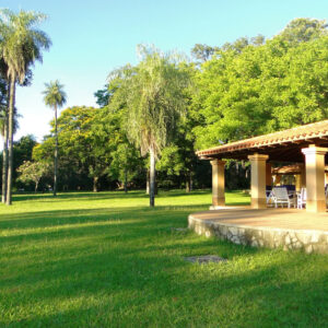 Curso de retiro noviembre