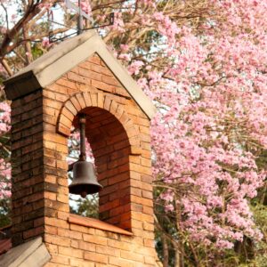 Convivencia para Jóvenes