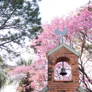 Convivencia noviembre