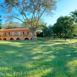 Curso de retiro para profesionales jóvenes