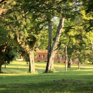 Curso de retiro para Señoras y Profesionales en agosto