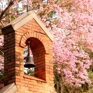 Convivencia para Agregadas en Casa Colonial