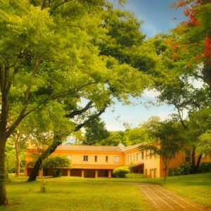 Convivencia colaboradoras 27 Julio (1 día)