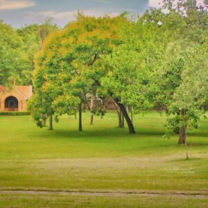 Convivencia de Supernumerarias en agosto