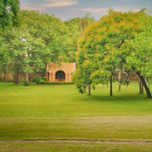 Curso de retiro para señoras y profesionales jóvenes en marzo